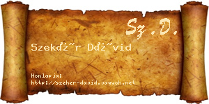 Szekér Dávid névjegykártya
